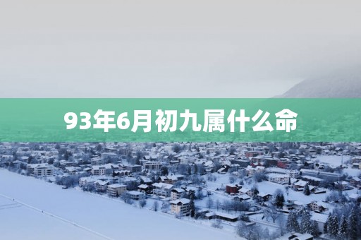 93年6月初九属什么命