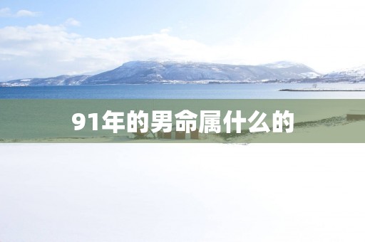 91年的男命属什么的