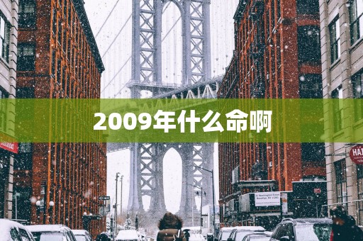 2009年什么命啊