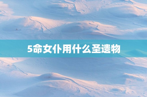 5命女仆用什么圣遗物