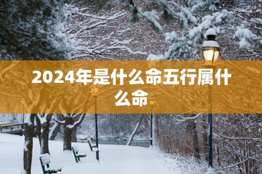 2025年是什么命五行属什么命
