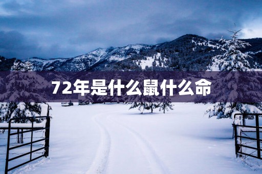 72年是什么鼠什么命