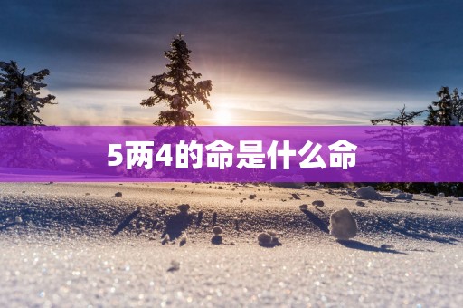 5两4的命是什么命