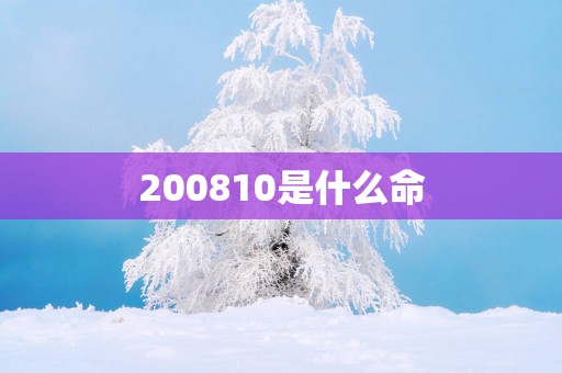 200810是什么命