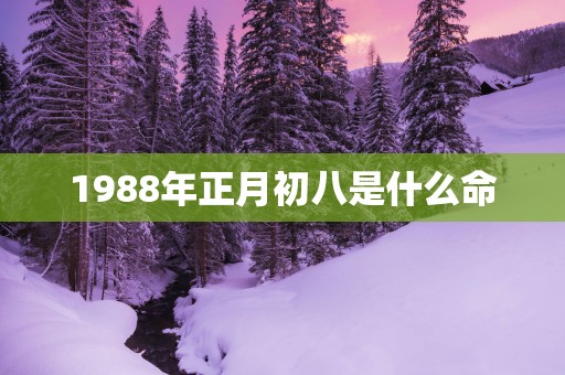 1988年正月初八是什么命