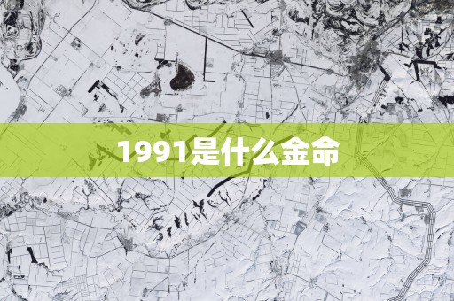 1991是什么金命