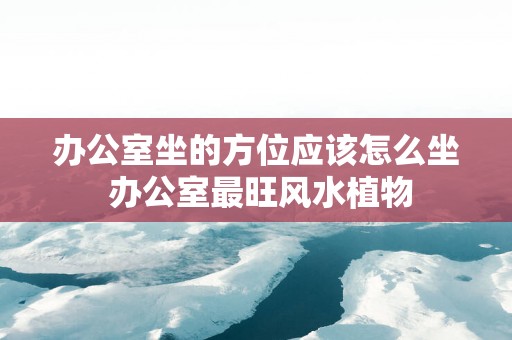 办公室坐的方位应该怎么坐 办公室最旺风水植物