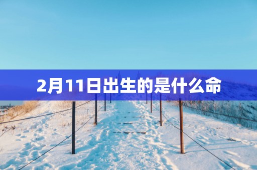 2月11日出生的是什么命