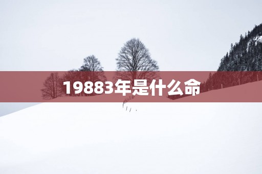 19883年是什么命