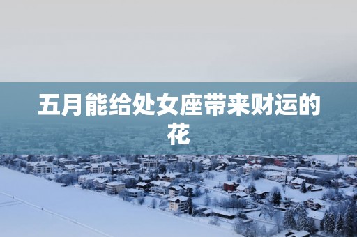 五月能给处女座带来财运的花