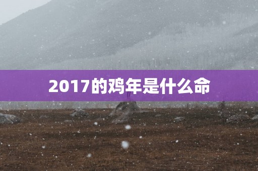 2017的鸡年是什么命