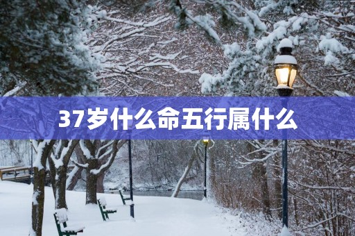 37岁什么命五行属什么
