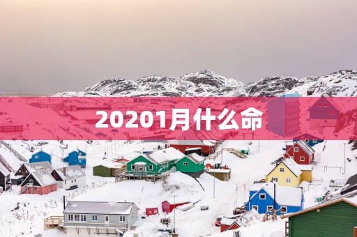 20251月什么命