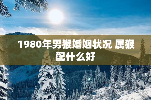1980年男猴婚姻状况 属猴配什么好