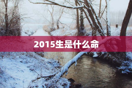2015生是什么命