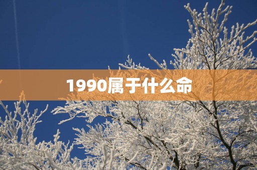 1990属于什么命