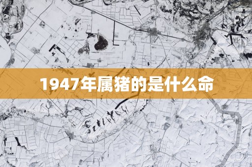 1947年属猪的是什么命
