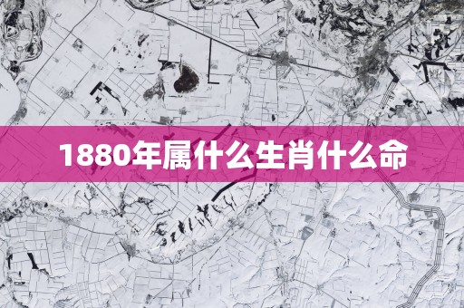 1880年属什么生肖什么命