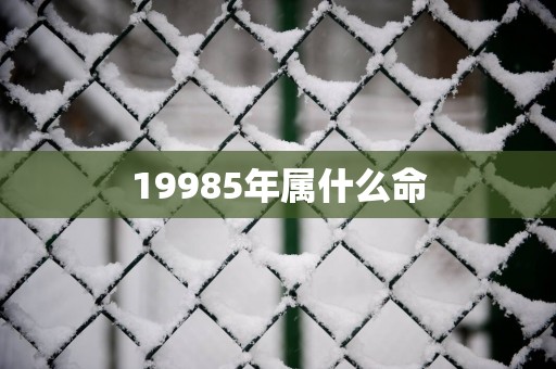 19985年属什么命