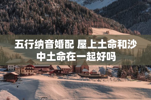 五行纳音婚配 屋上土命和沙中土命在一起好吗