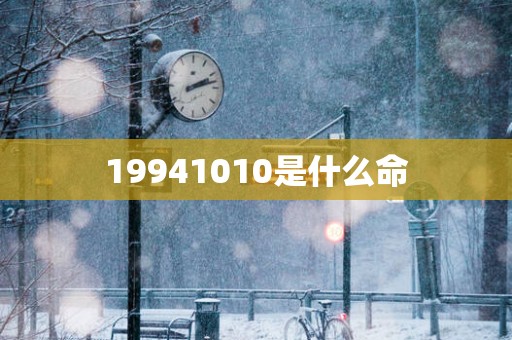 19941010是什么命