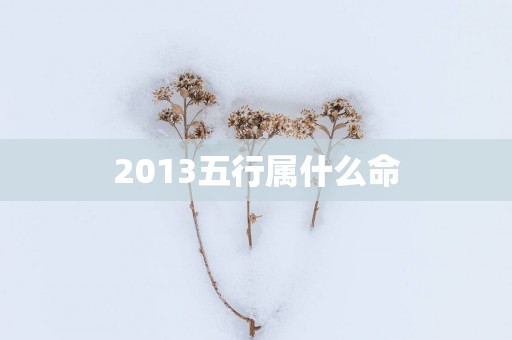 2013五行属什么命