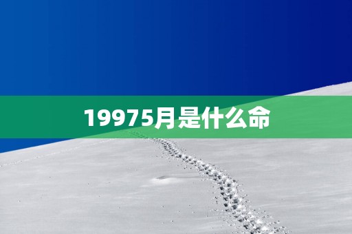 19975月是什么命