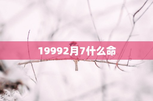 19992月7什么命