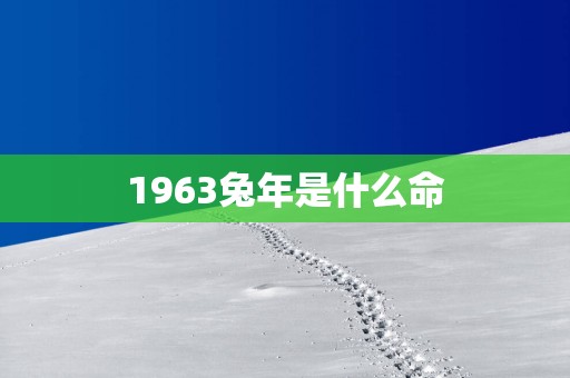 1963蛇年是什么命