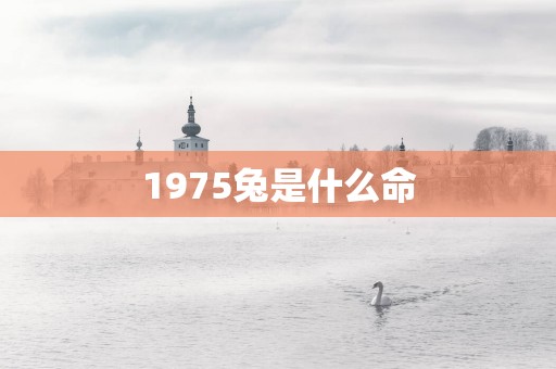 1975兔是什么命