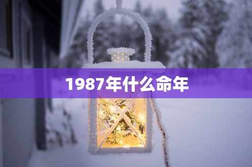1987年什么命年