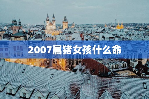 2007属猪女孩什么命