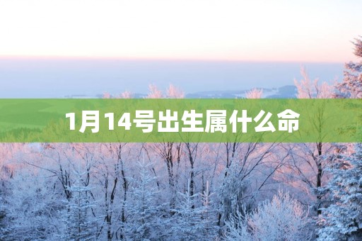 1月14号出生属什么命