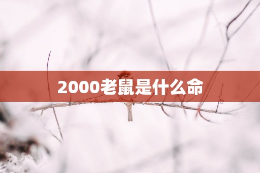 2000老鼠是什么命