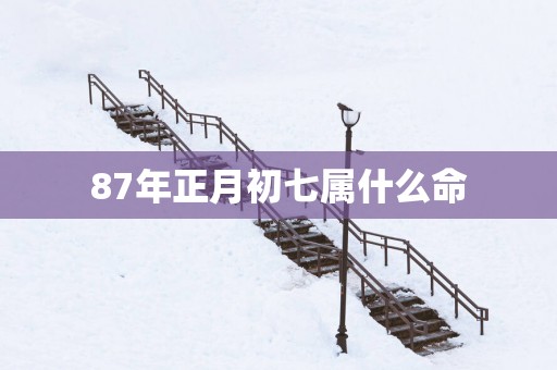 87年正月初七属什么命