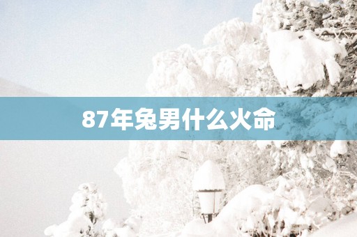 87年兔男什么火命