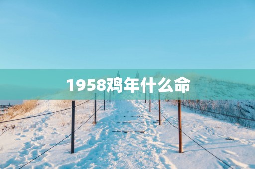 1958鸡年什么命