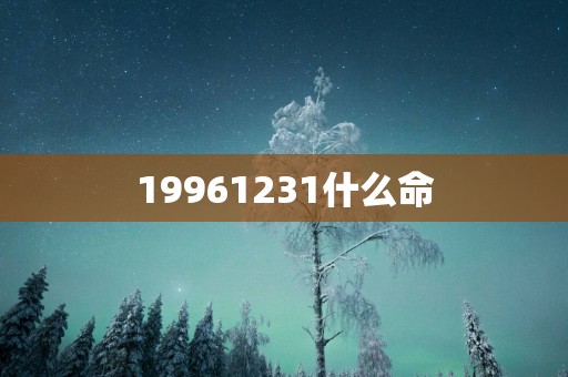19961231什么命