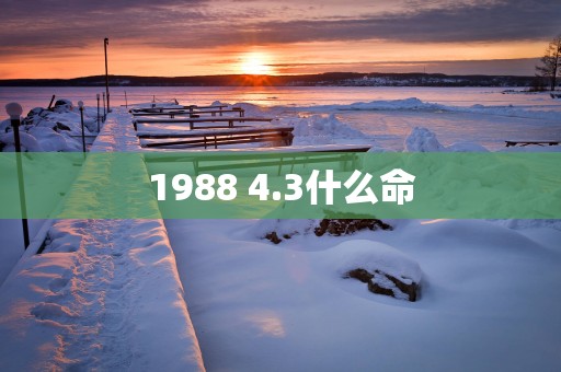 1988 4.3什么命