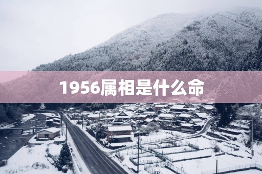 1956属相是什么命