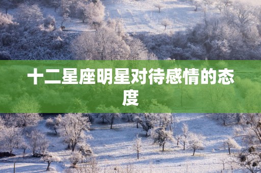 十二星座明星对待感情的态度
