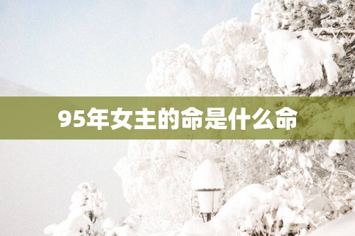 95年女主的命是什么命