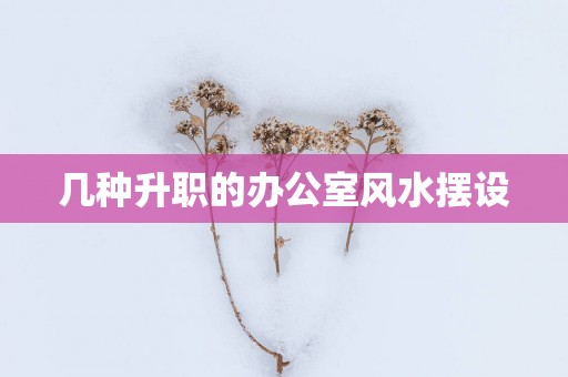 几种升职的办公室风水摆设