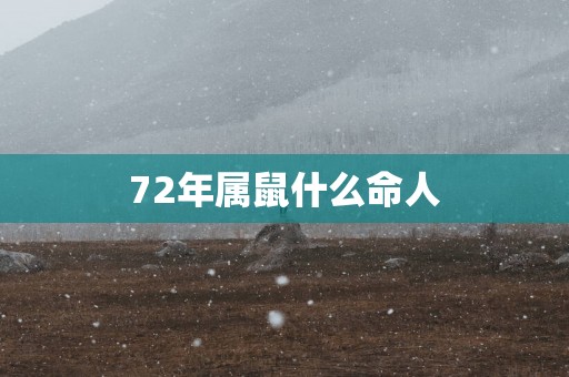 72年属鼠什么命人
