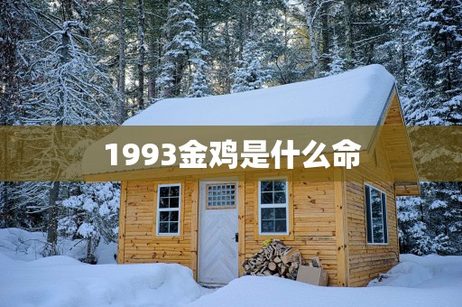 1993金鸡是什么命