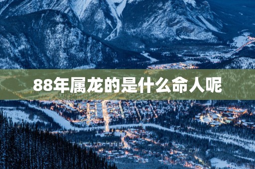 88年属龙的是什么命人呢