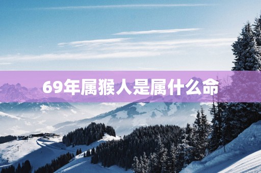 69年属猴人是属什么命