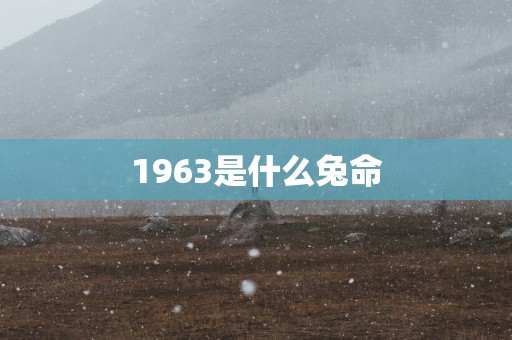 1963是什么兔命
