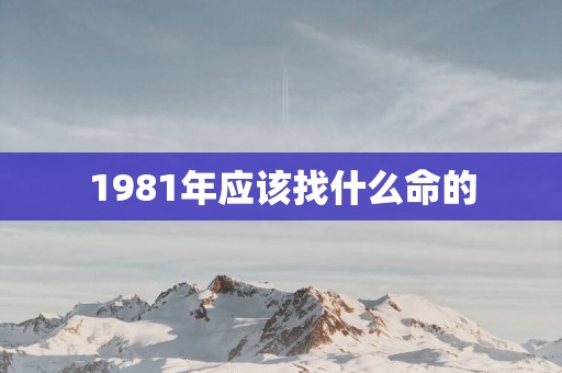 1981年应该找什么命的
