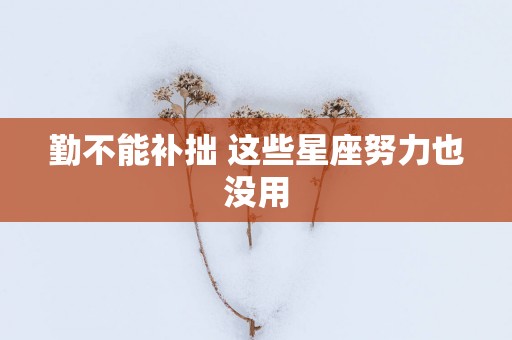 勤不能补拙 这些星座努力也没用
